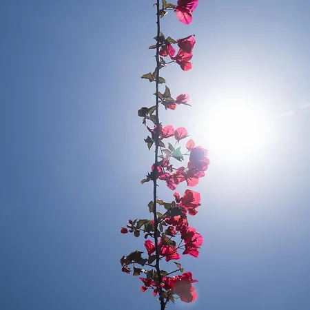 Aroma Gospodarstwo wiejskie Lakíthra