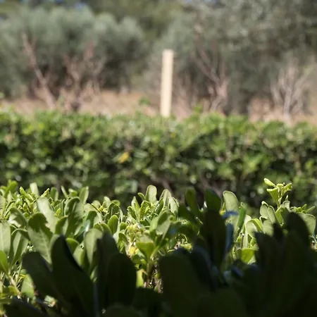 Aroma Casa di campagna Lakíthra