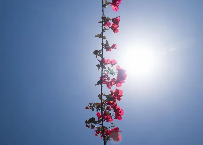 Aroma Εξοχικό σπίτι Λακήθρα