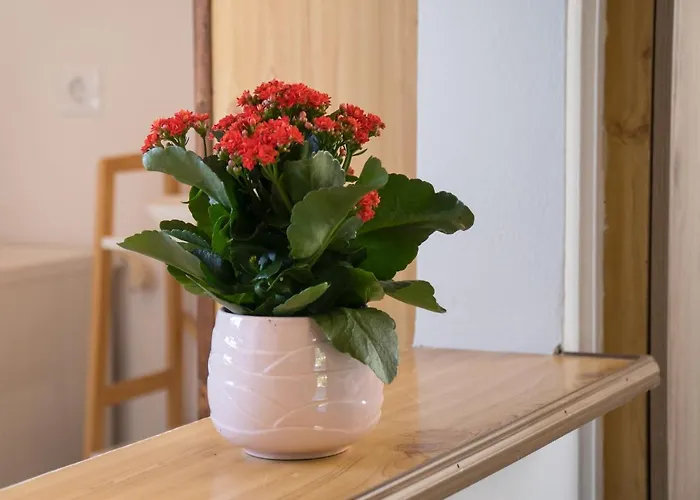 Aroma Εξοχικό σπίτι